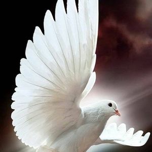 Meet your Posher, Betty